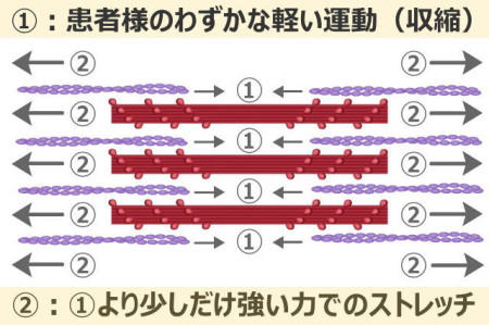 こり固まりの対策イメージ